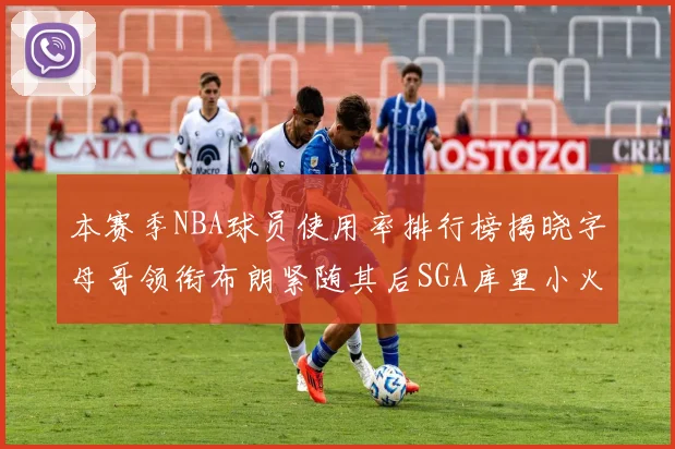 本赛季NBA球员使用率排行榜揭晓字母哥领衔布朗紧随其后SGA库里小火车紧追不舍