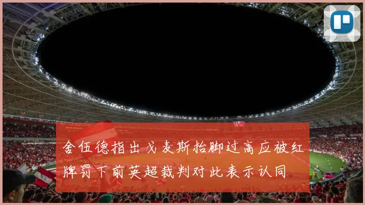 舍伍德指出戈麦斯抬脚过高应被红牌罚下前英超裁判对此表示认同