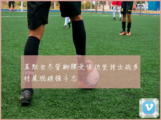 莱默尔尽管脚踝受伤仍坚持出战多特展现顽强斗志